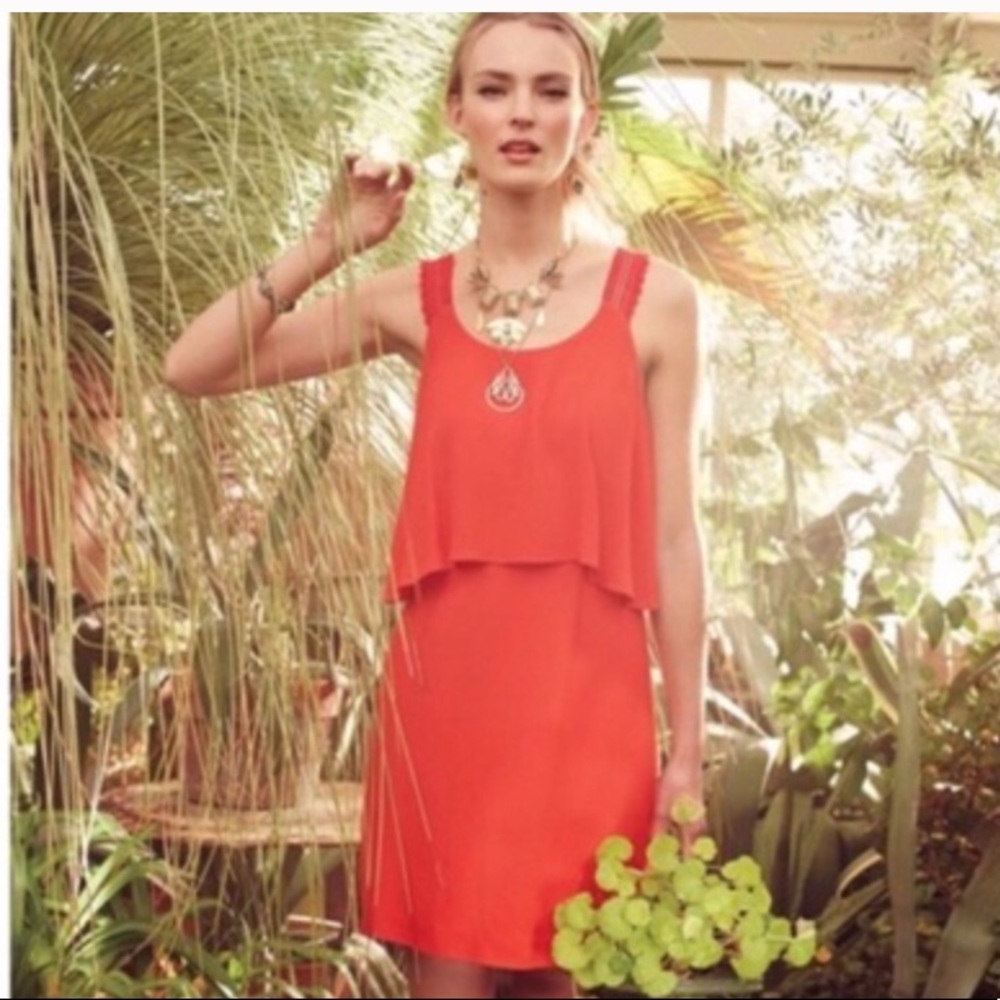 Anthropology Dress